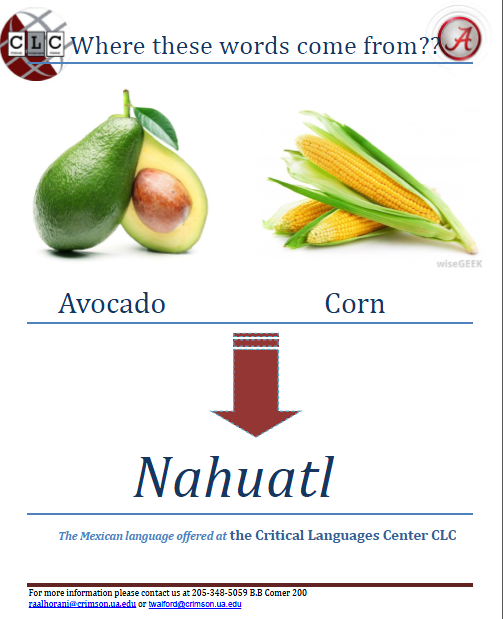 poster explaining that the words "avocado" and "corn" come from "nahuatl"