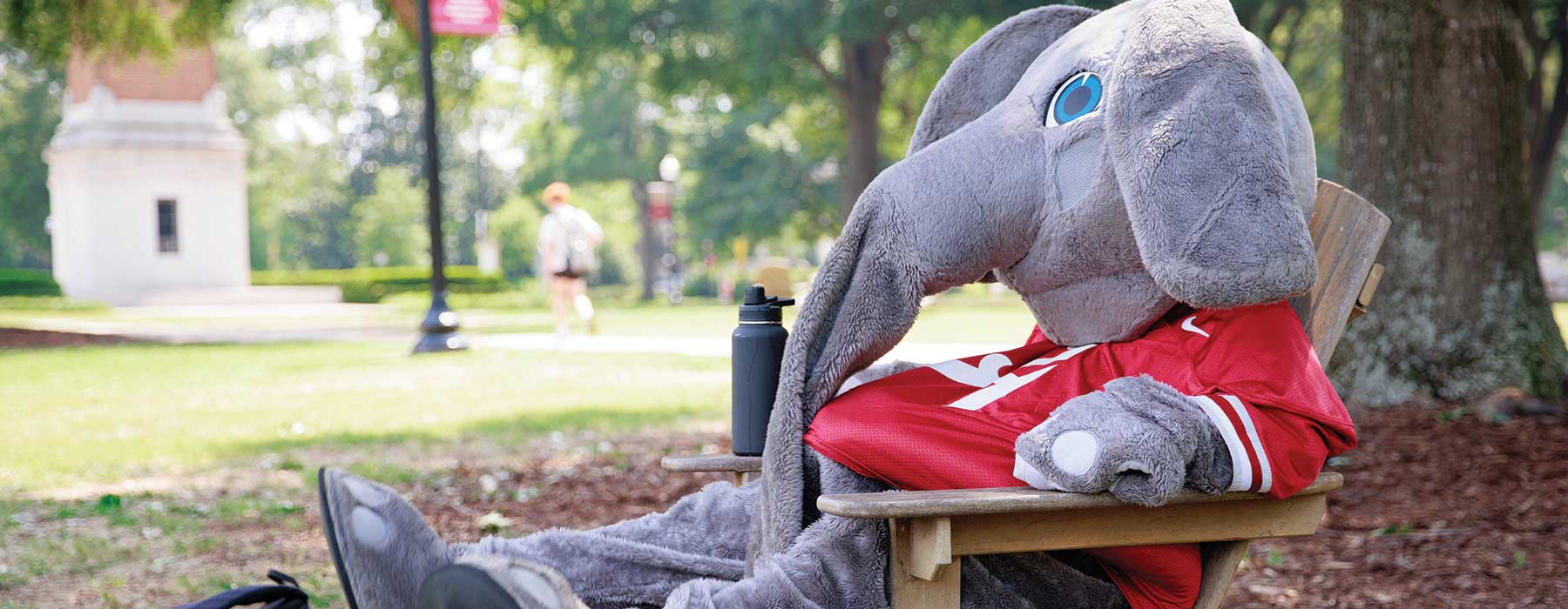 Big Al, UA's elephant mascot, relaxing on the UA Quad