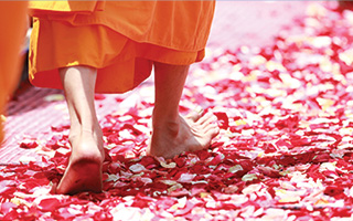 a person walking barefoot over flower petals