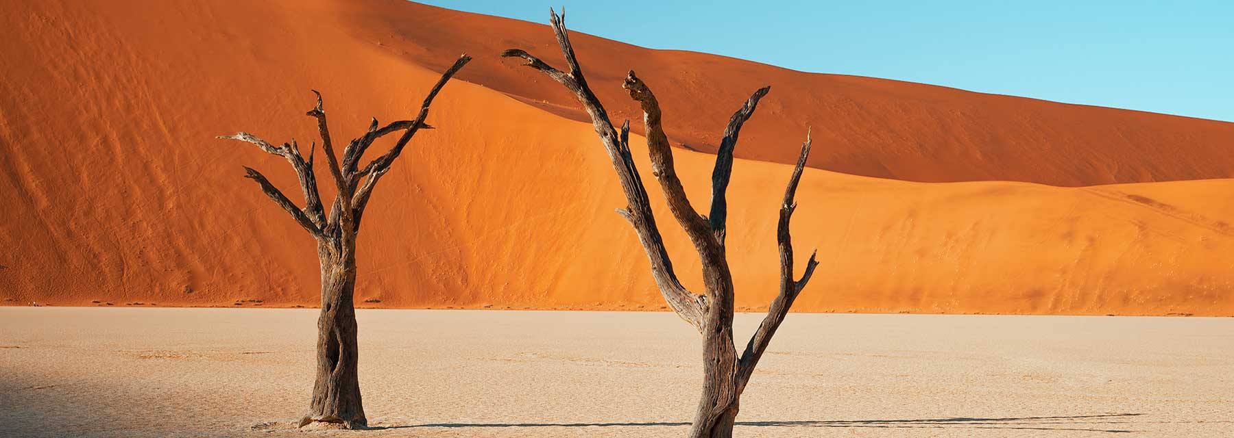 a surreal desert landscape in Namibia