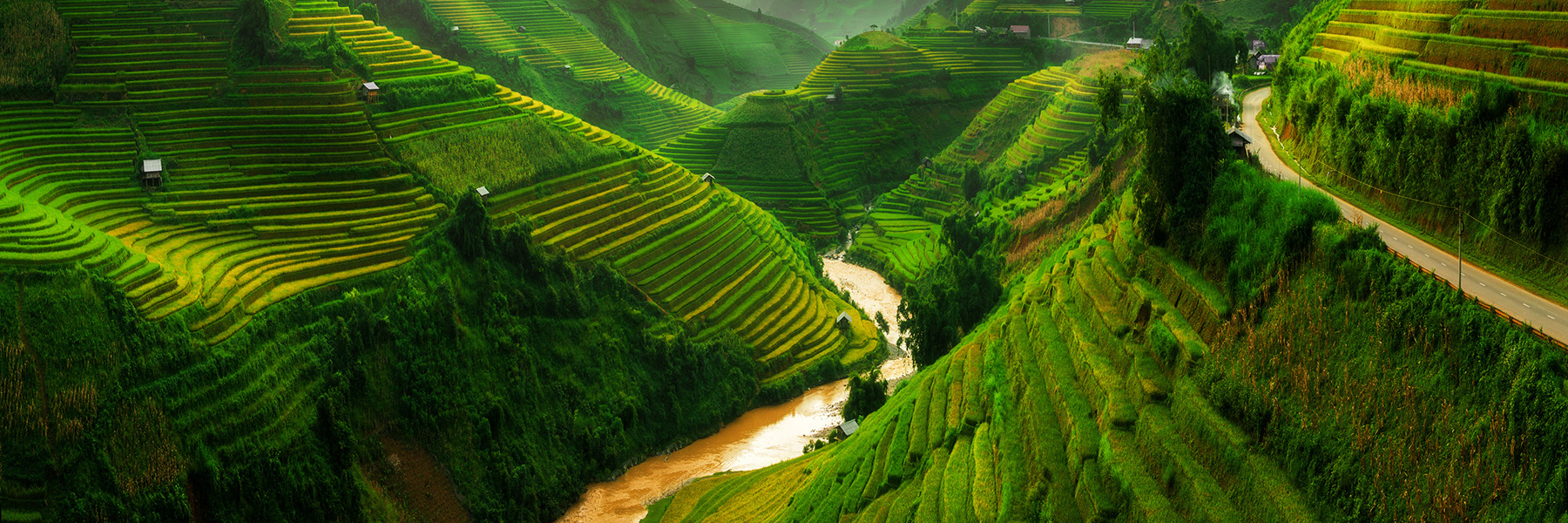a terraced rice field landscape near Sapa in Vietnam
